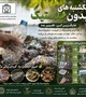 جایگزین کن، تغییر بده  با رها کردن پلاستیک در طبیعت، میکروپلاستیک به سفره‌مان باز می‌گردد.